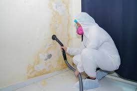 Best Post-Construction Mold Inspection  in Kirby, TX